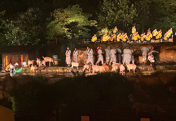 《禅宗少林·音乐大典》实景演出第 45 张图片