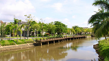 沙美红树林湿地公园