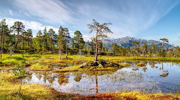 翁德河谷国家公园