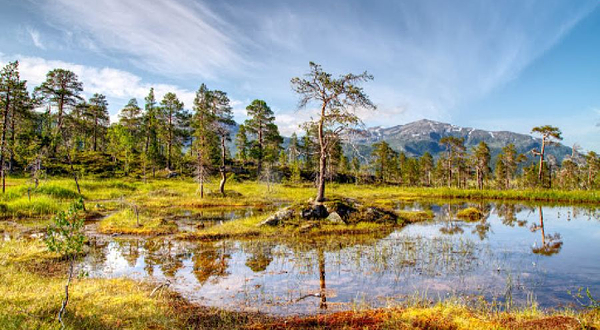 翁德河谷国家公园