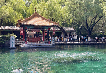 趵突泉景区第 66 张图片