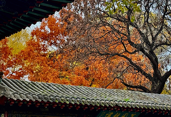 晋祠博物馆第 169 张图片