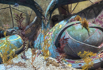 三亚亚特兰蒂斯失落的空间水族馆第 146 张图片