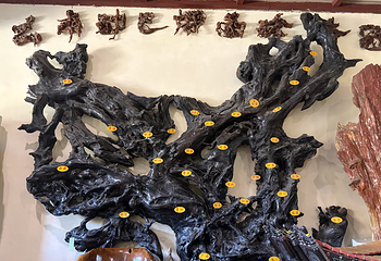 勐巴娜西珍奇园第 27 张图片