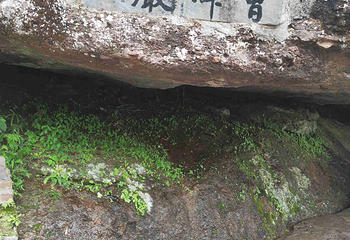 江郎山风景名胜区第 117 张图片