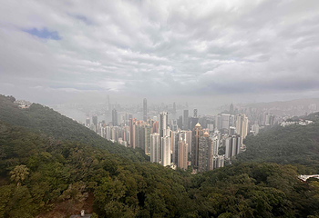 太平山顶第 256 张图片