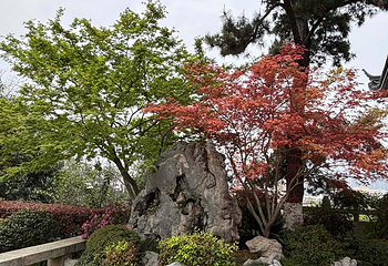 黄鹤楼第 261 张图片