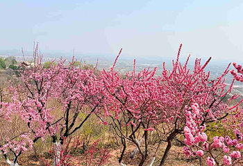 北京西山国家森林公园第 17 张图片