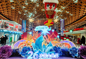 哈尔滨冰雪大世界第 47 张图片