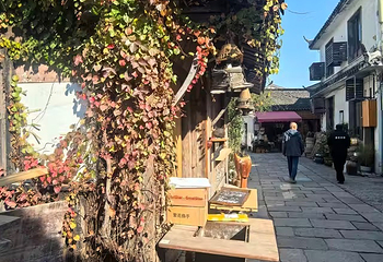 锦溪古镇第 80 张图片
