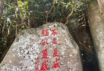 亚龙湾热带天堂森林公园第 220 张图片