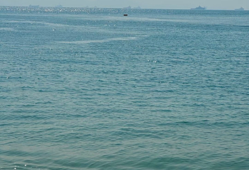 大亚湾第 15 张图片