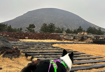 大同火山群国家地质公园第 89 张图片