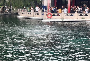 趵突泉景区第 224 张图片