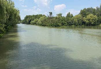 瘦西湖第 466 张图片
