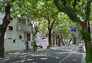 淮海路第 62 张图片