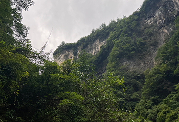 张家界大峡谷第 154 张图片