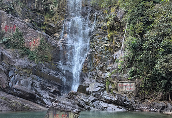 鼎湖山第 60 张图片