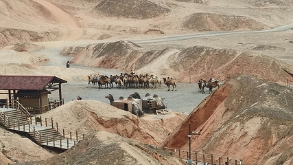 张掖七彩丹霞旅游景区第 528 张图片