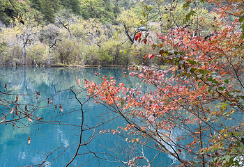 九寨沟风景区第 339 张图片