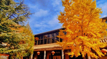 王硇景区第 1 张图片