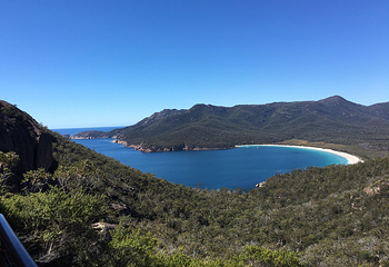 Coles Bay Jetty第 6 张图片
