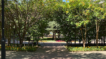 Basketbol'naya Ploshchadka