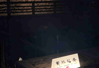 汉广陵王墓博物馆第 38 张图片