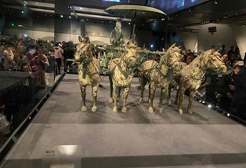 秦始皇帝陵博物院(兵马俑)第 159 张图片