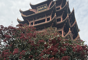 黄鹤楼第 321 张图片