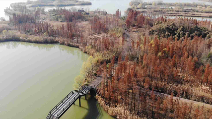 潘安湖国家湿地公园第 104 张图片