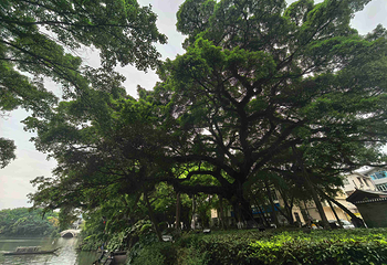 桂林两江四湖景区第 107 张图片