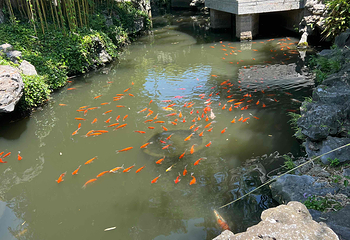 上海大观园第 49 张图片