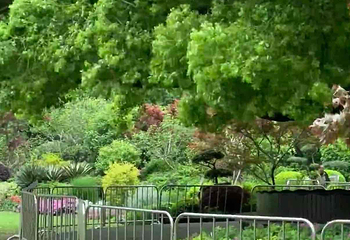 中山公园第 55 张图片