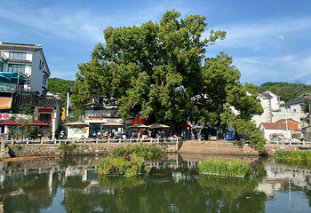 西山第 6 张图片