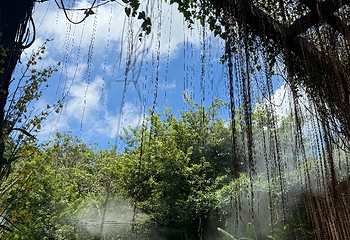 青秀山第 180 张图片
