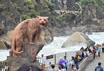 虎跳峡(香格里拉段)第 42 张图片