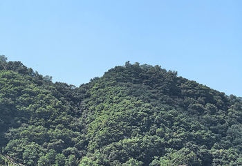 虎山长城第 50 张图片