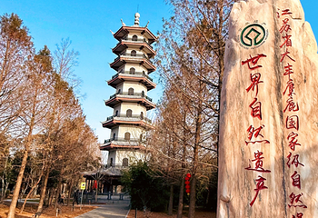 中华麋鹿园第 62 张图片