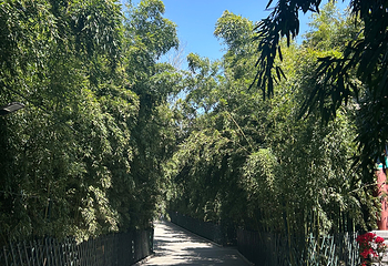 红螺寺第 182 张图片