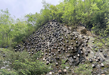 神农架风景区第 169 张图片