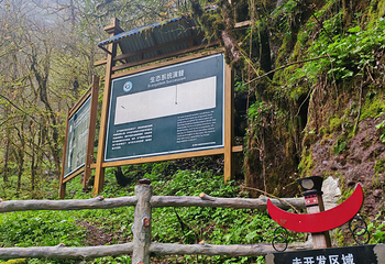 黑竹沟风景名胜区第 26 张图片