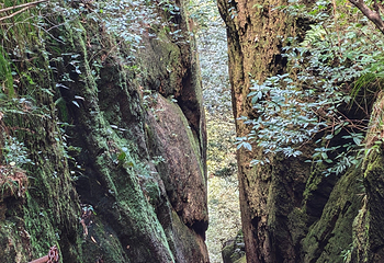 三清山风景区第 275 张图片
