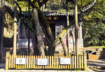琅琊山景区第 39 张图片