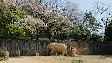 东山动植物园第 20 张图片