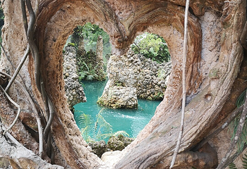 Dan Tewada Land of Angels Waterfall Park第 4 张图片