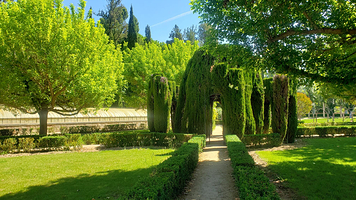 皇家驳船博物馆