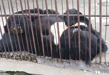 Almaty Zoo第 11 张图片