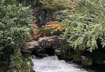 趵突泉景区第 293 张图片