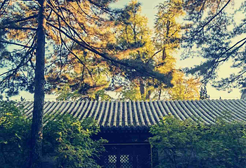 潭柘寺第 36 张图片